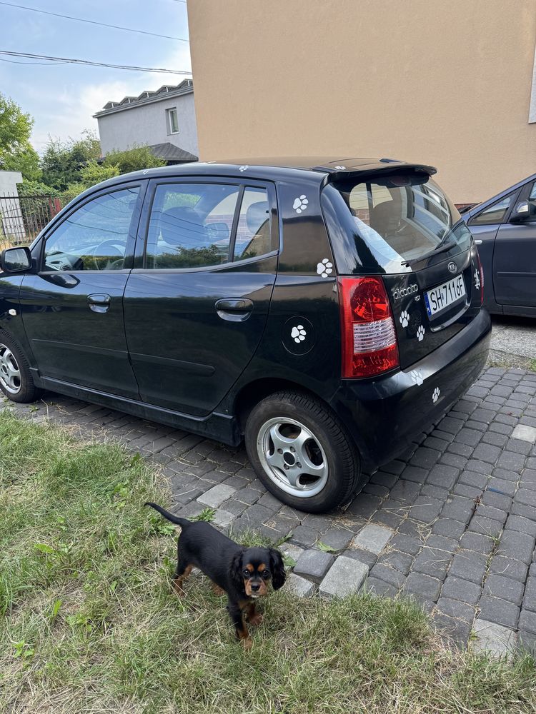 Samochód Kia picanto I