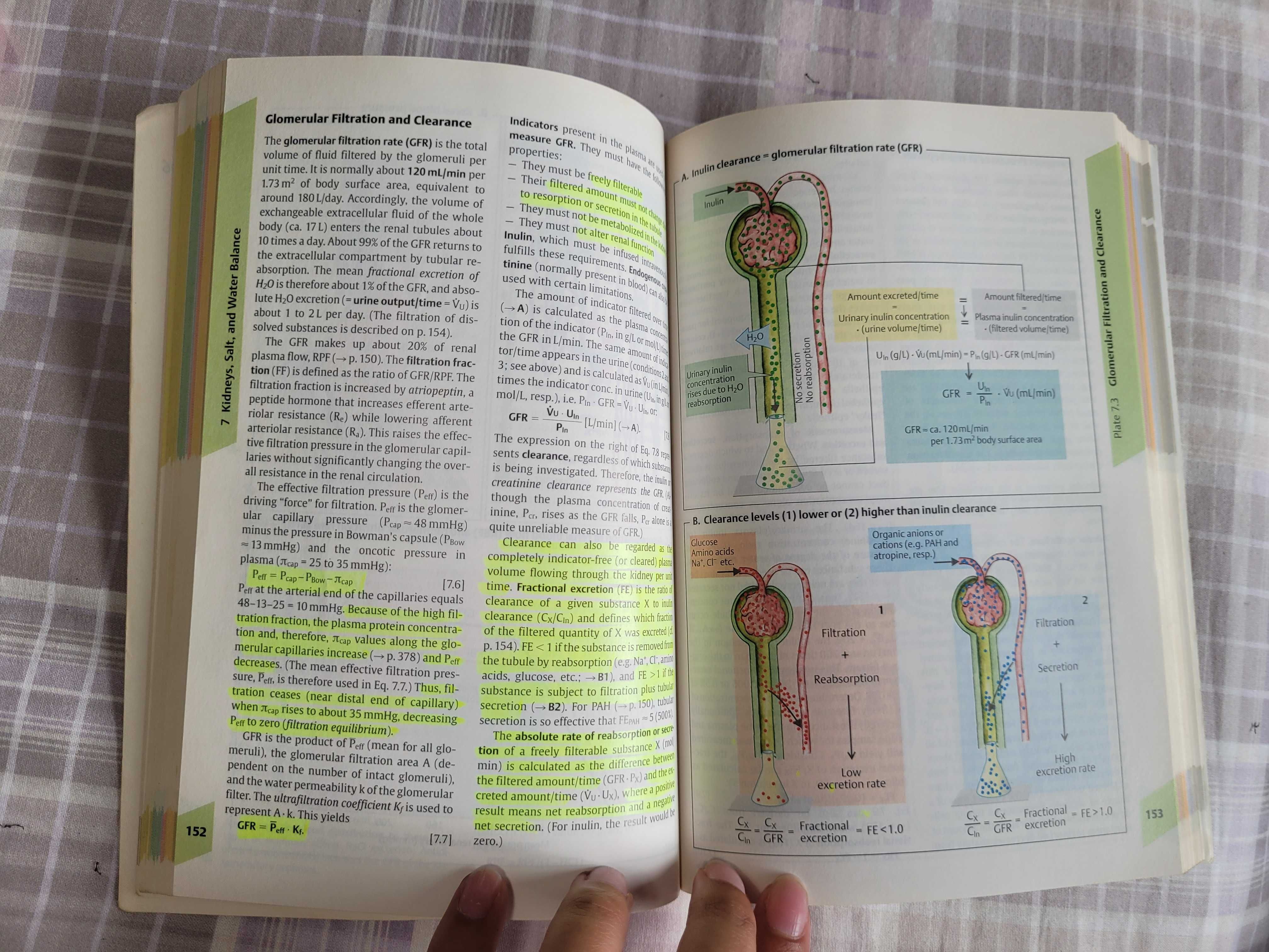 Livro Medicina "Color Atlas of Physiology" das colecções da Thieme