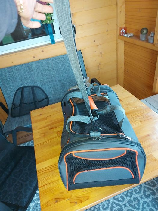 Transporter dla zwierząt