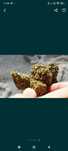 50 g susz amnezja CBD
