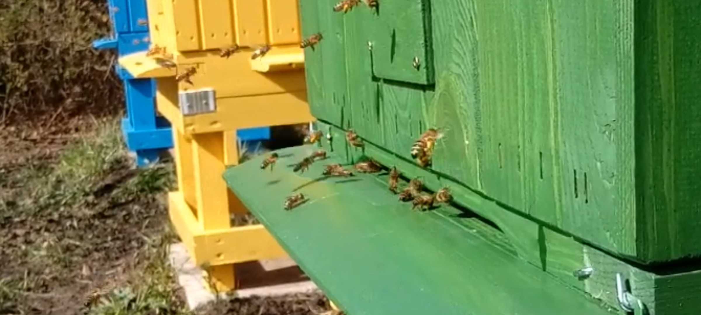 MIÓD wielokwiatowy z małej  rodzinnej pasieki