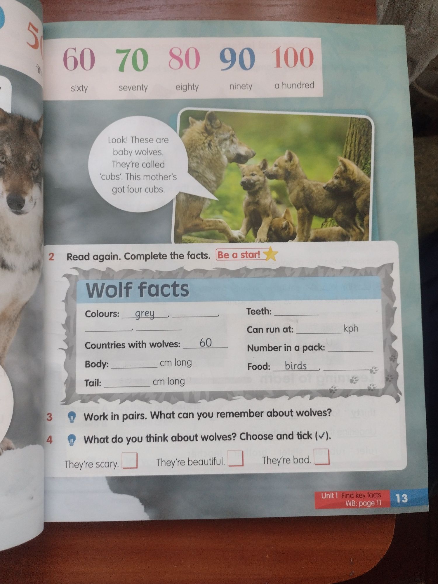 Підручник  оригінал Academy Stars2 pupil book