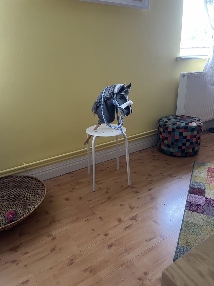 Hobby horse koń na kiju