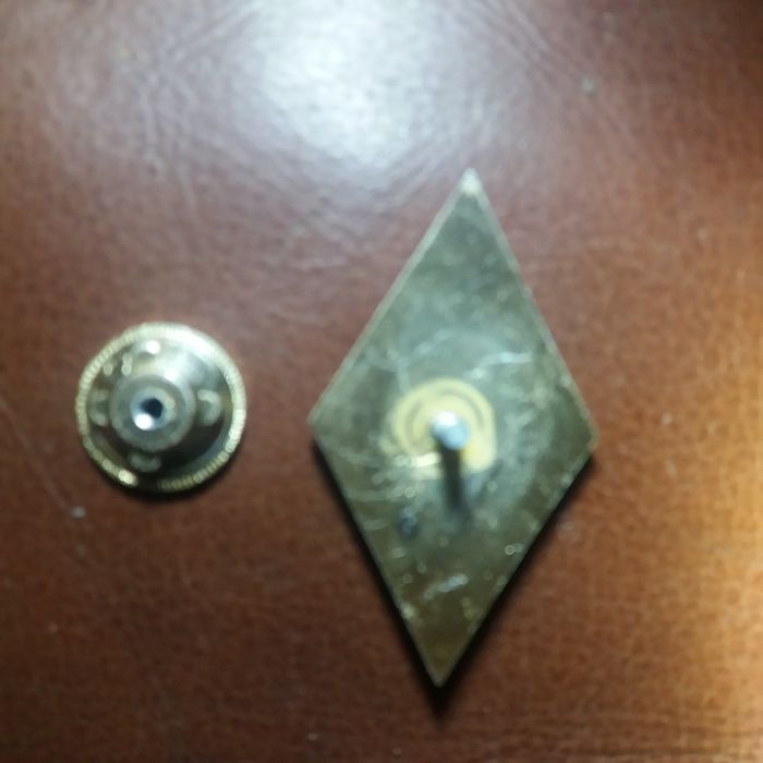 Предлагается оригинальный ромб об окончании международного универа