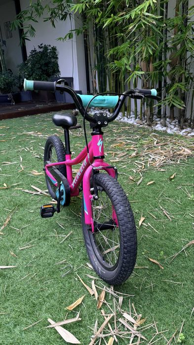 Bicicleta Infantil Specialized Riprock Coaster 16