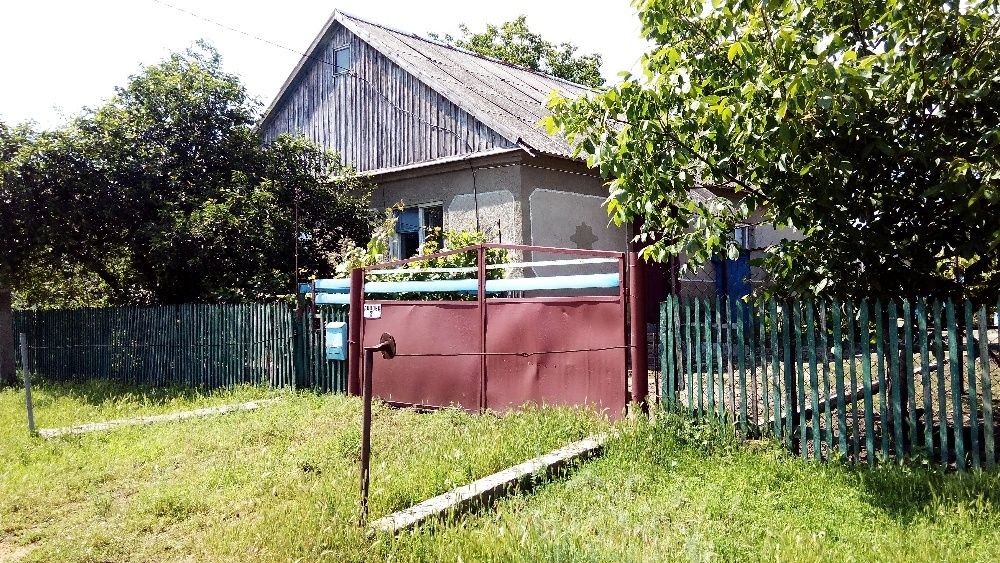 Продам дом в с.Палиево,