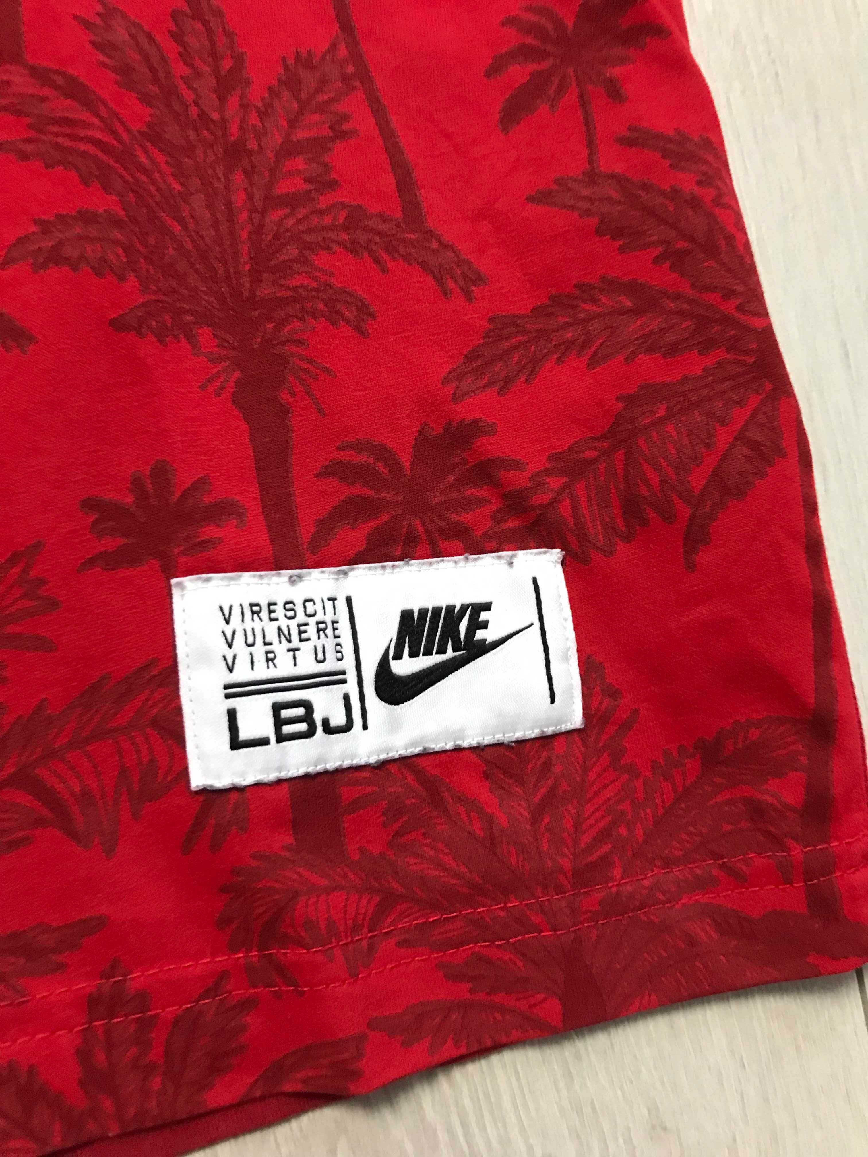NIKE LeBron James r.L oryginalna koszulka męska