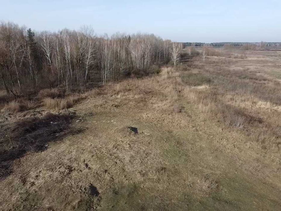 Рожни, ділянка 1га під лісом з виходом до озера
