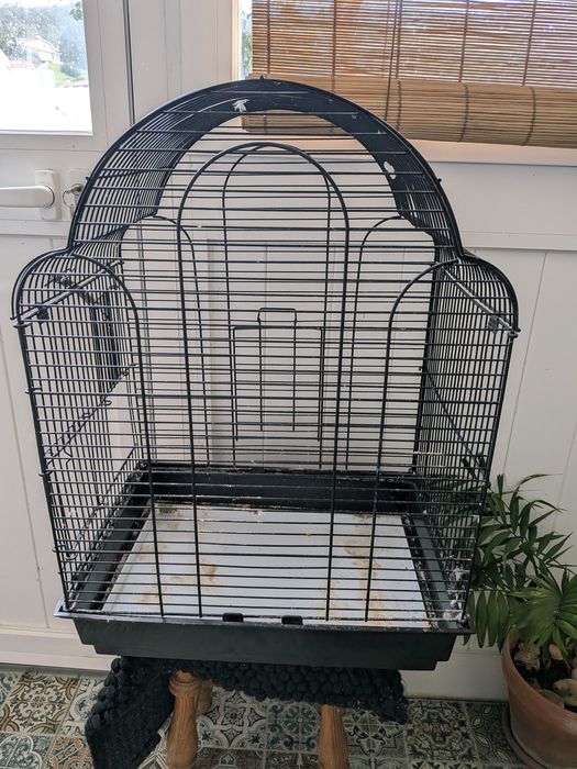 Gaiolas pássaros
