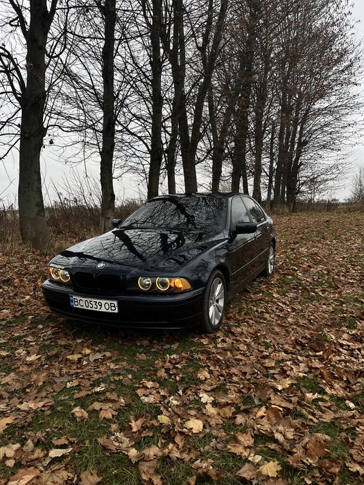 Bmw e39 2001