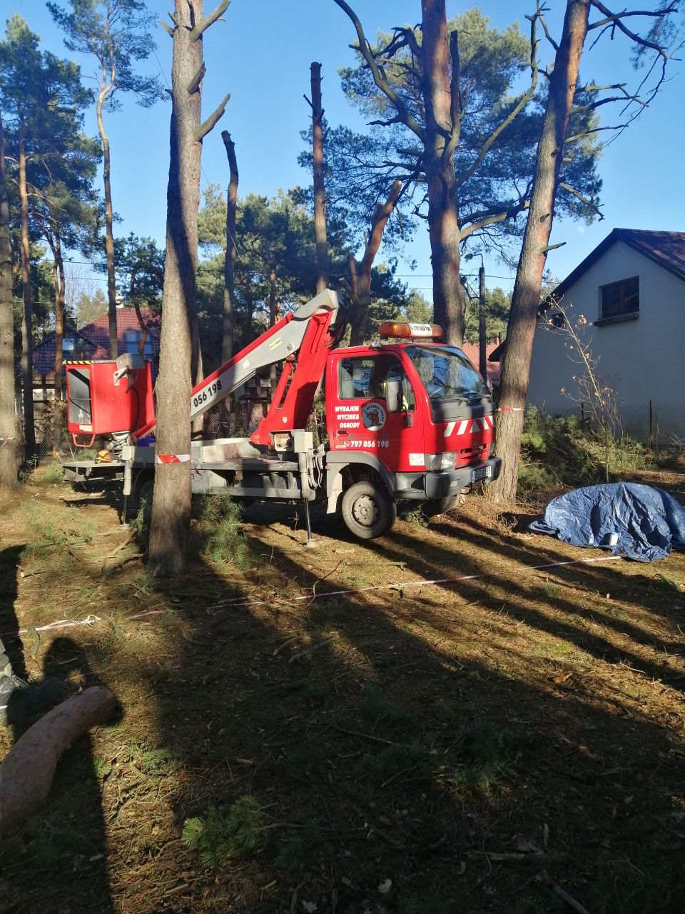 Wycinka pielęgnacja drzew rębak wynajem czyszczenie działek karczowani