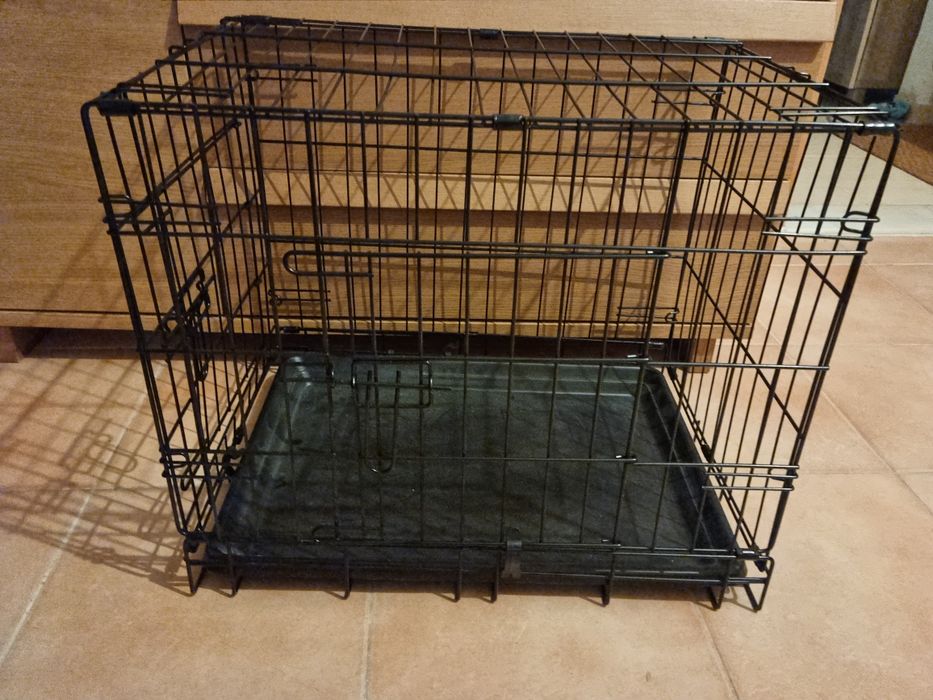 Transportadora cão porte pequeno
