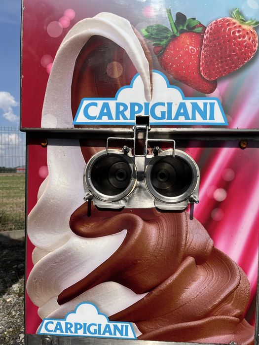 Carpigiani maszyna do lodów włoskich DL 303 PSP części świdry pompa