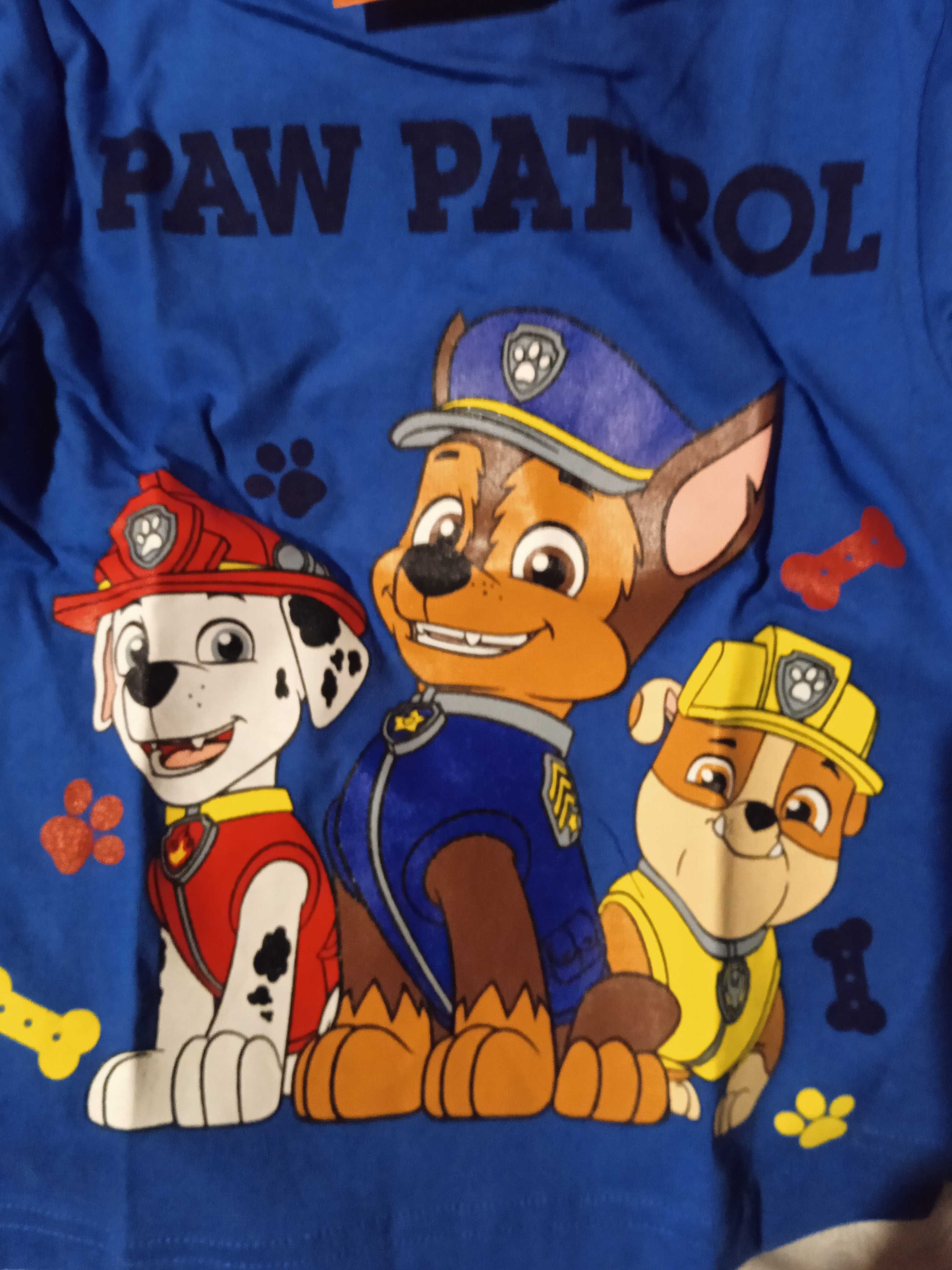 Bluzeczka Psi Patrol niebieska rozmiar 92    24