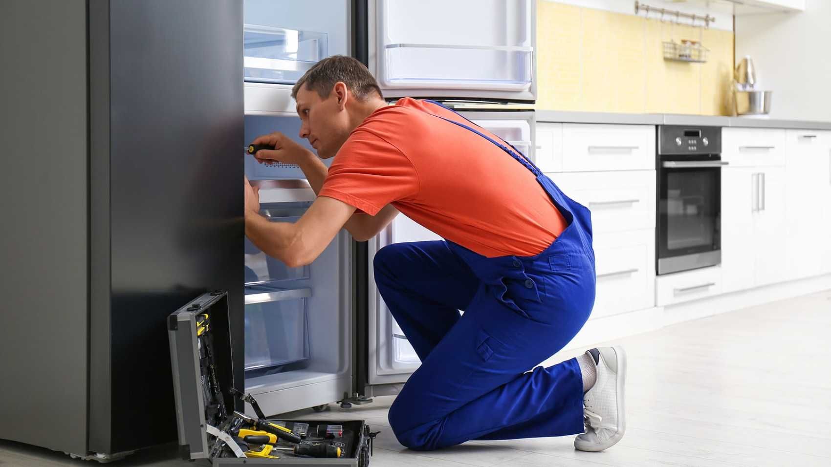 Срочный ремонт всех видов холодильников Оболонь Минский масив Приорка