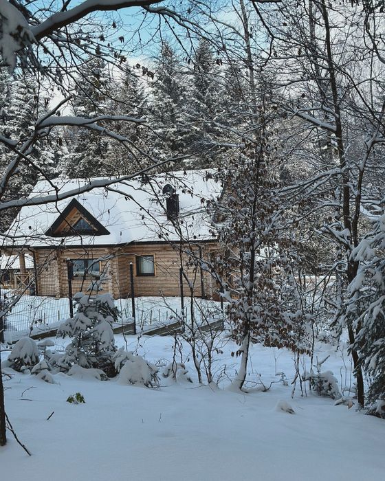 Domy do wynajęcia  na wyłączność. Basen , jacuzzi, sauna.