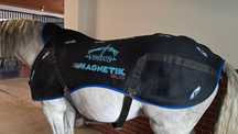 Derka magnetyczna Veredus Magnetik Rug