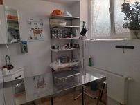 Помещение под бизнес 61 м² в ЖК Реал Парк, действующий объект