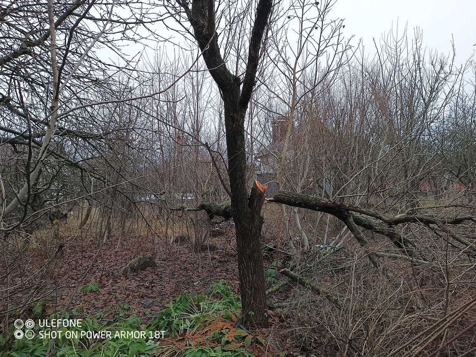 Продаж чарівної ділянки в Агрономічному