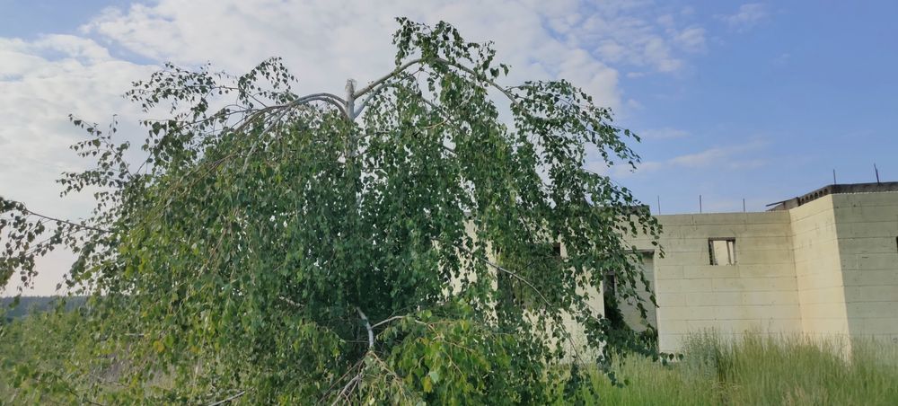 Темріновий продаж!Будинок термо, Ходосівка, Круглик, Кременище 0,11 Га