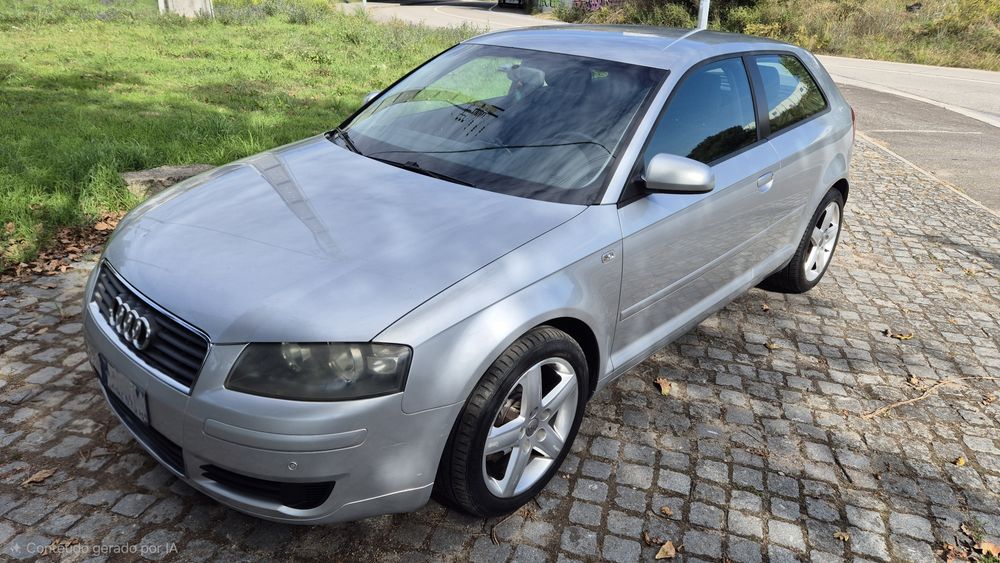 Audi A3 8P 1.9TDI