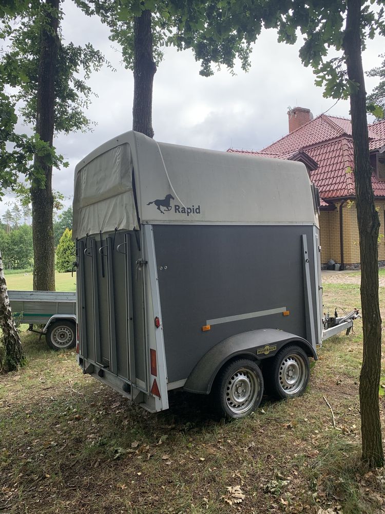 Humbaur przyczepa do przewozu koni/bydła