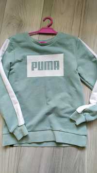 Bluza Puma rozm.134/140