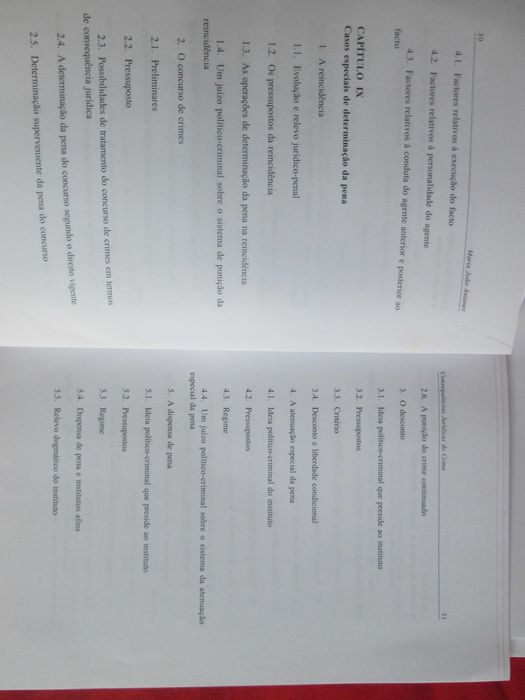 Consequências Jurídicas do Crime, de Maria João Antunes