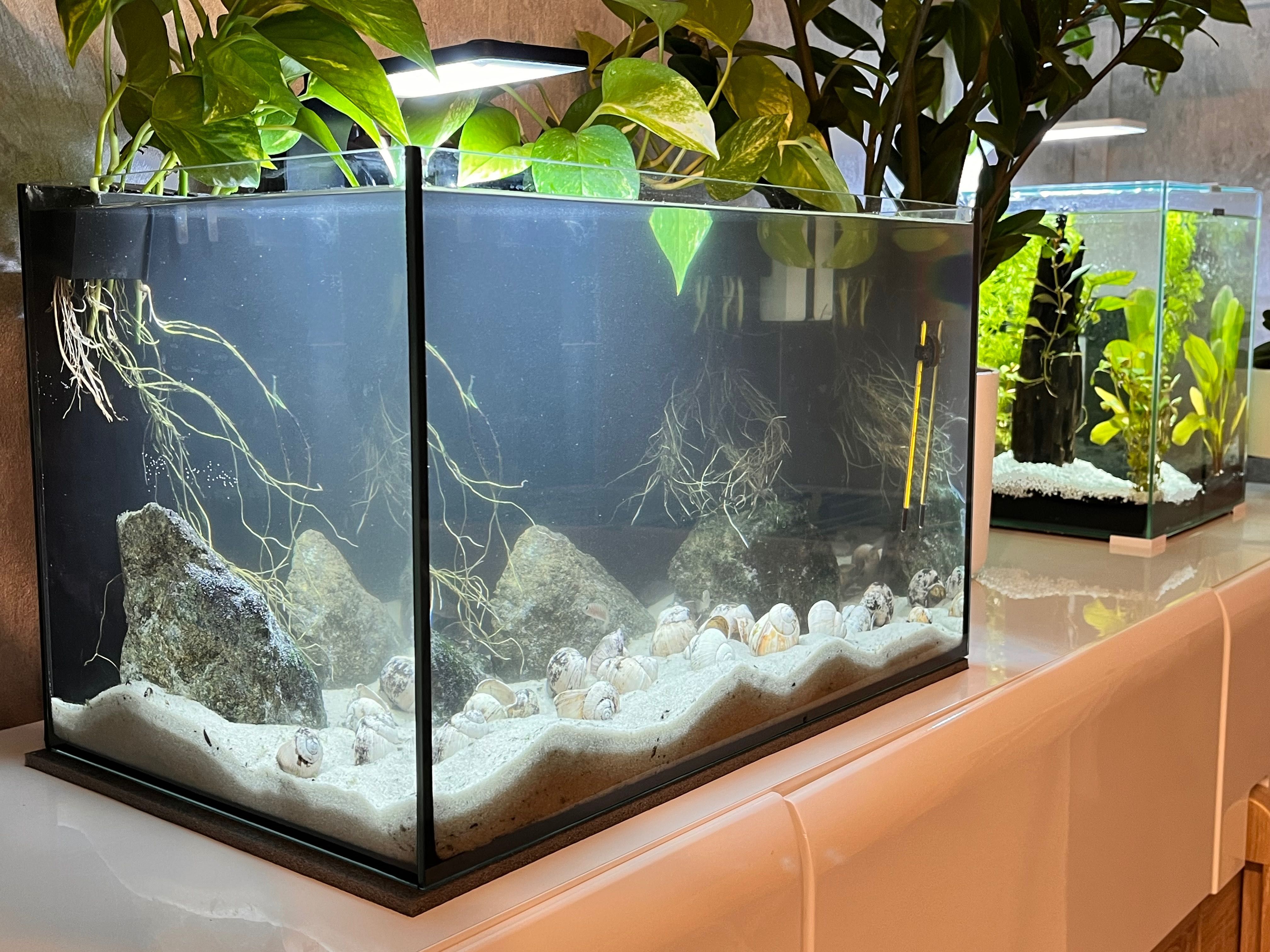 Akwarium komplet AQUAEL 45 l Biotop Tanganika muszlowce WSTRZYMANE