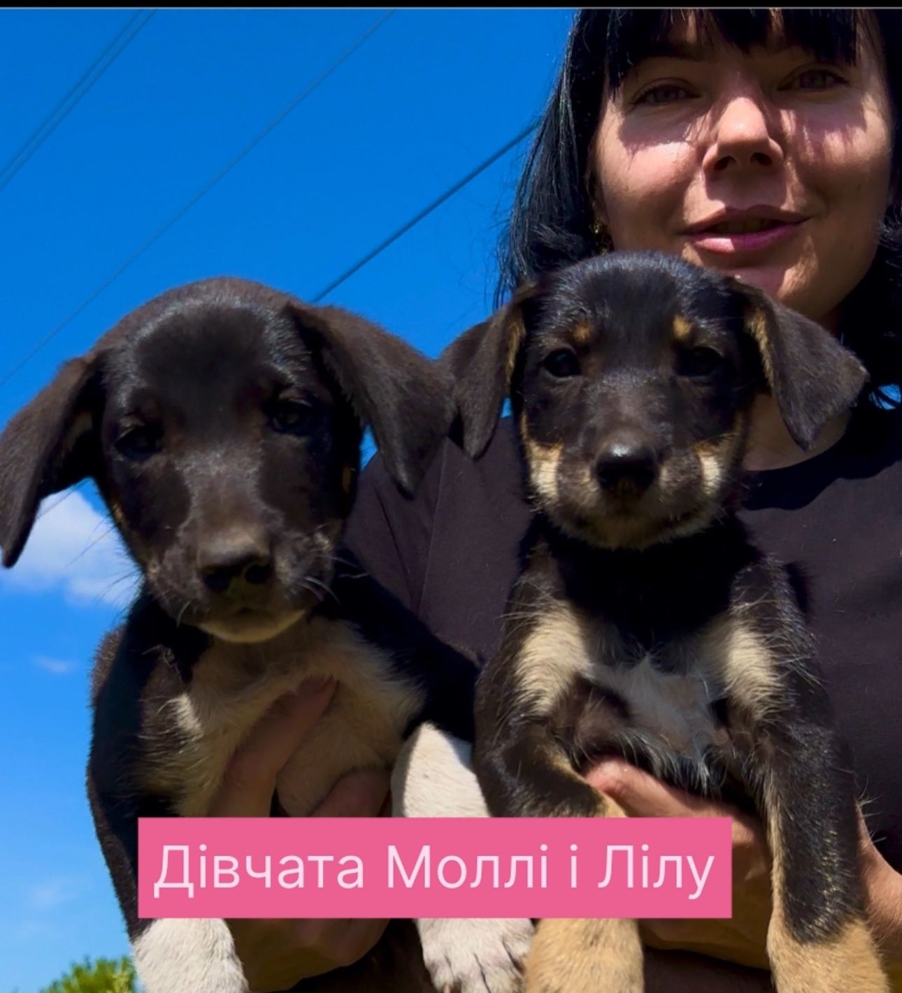 Дівчатка Моллі та Лілу