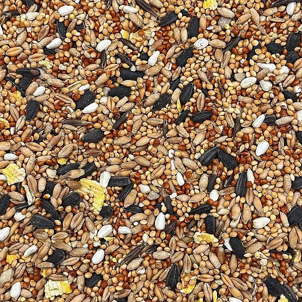 5kg Mix dla papug falistych i średnich nimfa rozella karma STANDARD Ch