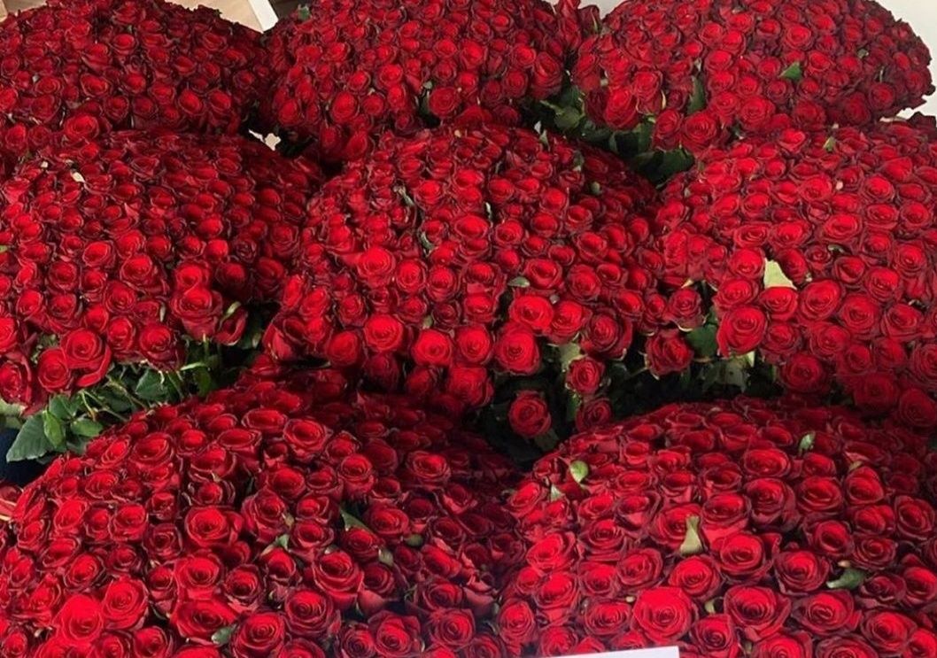 55 красных роз