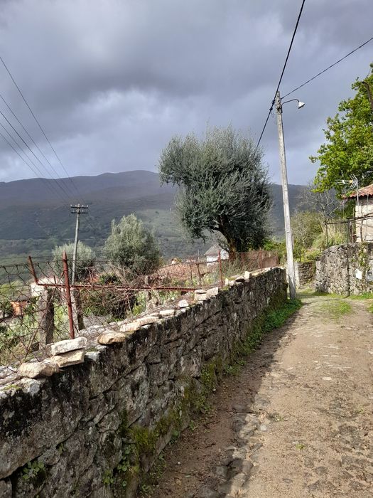 Vendono lindas vista 20000 euros