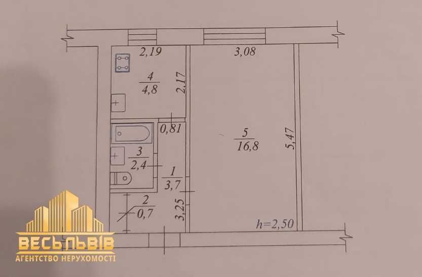 Продаж 1-кімнатна квартира Львів, вул. Шевченка (Рясне-1)