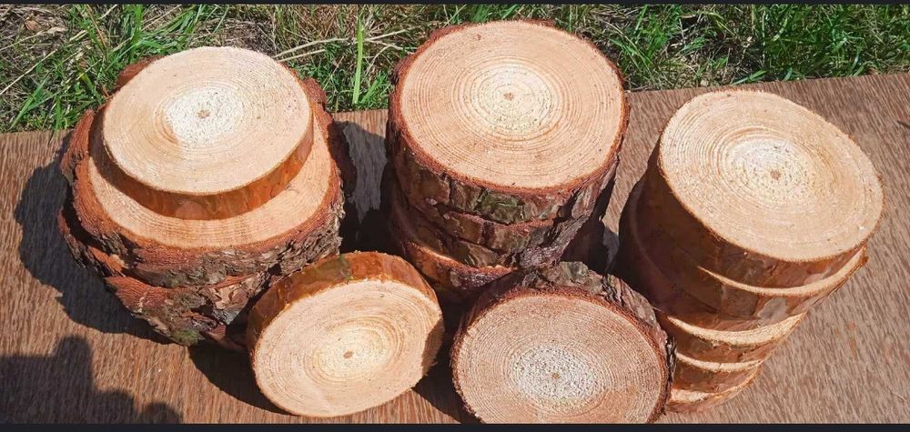 Plastry drewna, 60sztuk, 10-15cm, krążki drewniane, dekoracje, wysyłka