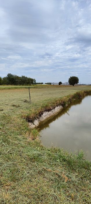 Siano/Słoma żytnia w kostkach/pęczkach