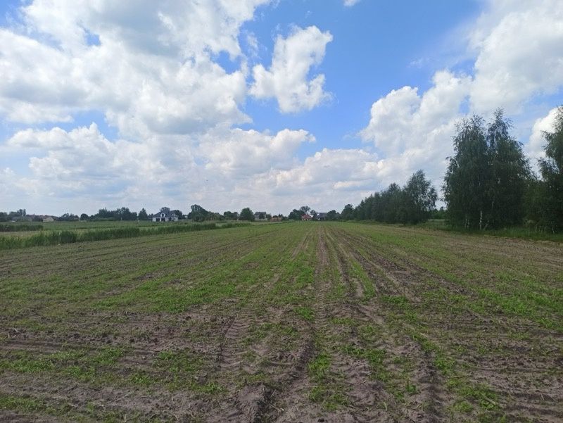 Sprzedam działki budowlane Miedniewice