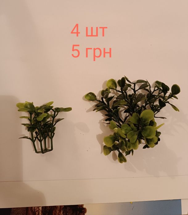 Декоративна зелень