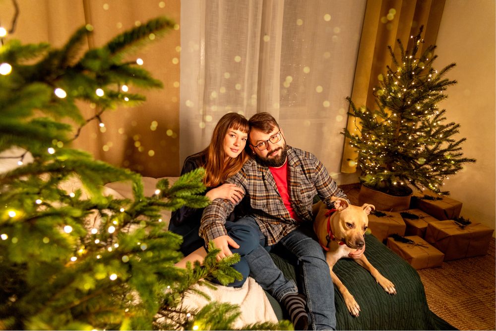 Sesja świąteczna katowice