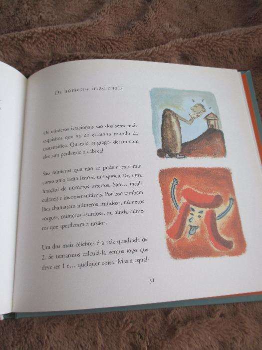 Livro- Pequeno livro de desmatemática