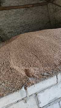 Pszenica czysta sucha,zbiór 2023. mozliwosc workowania 50/25kg