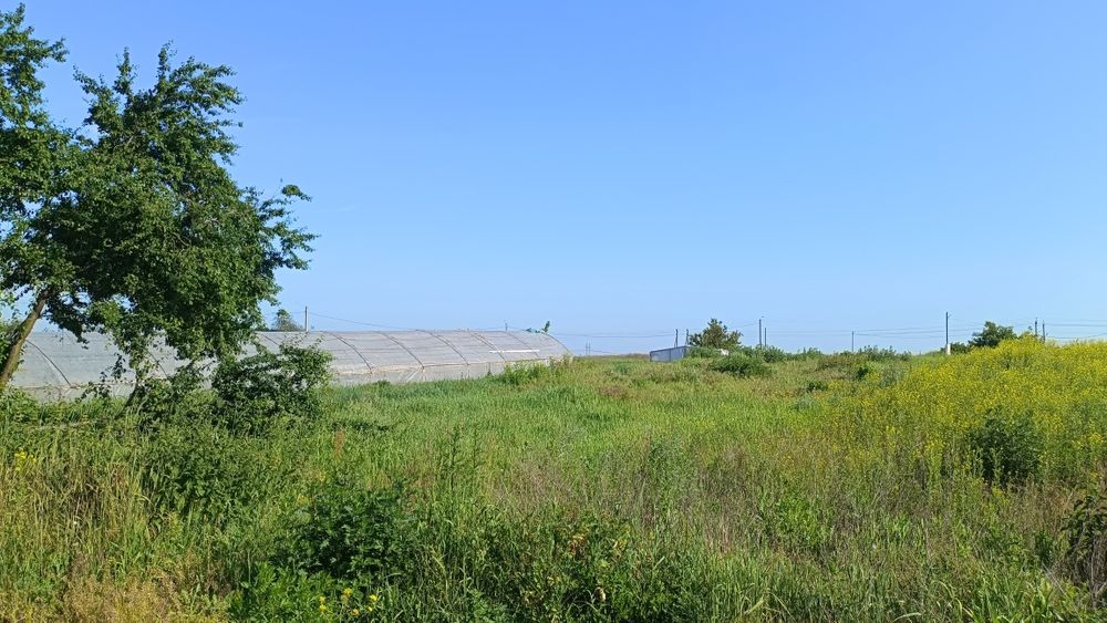 Продам ділянку в селі Красилівка Броварського району