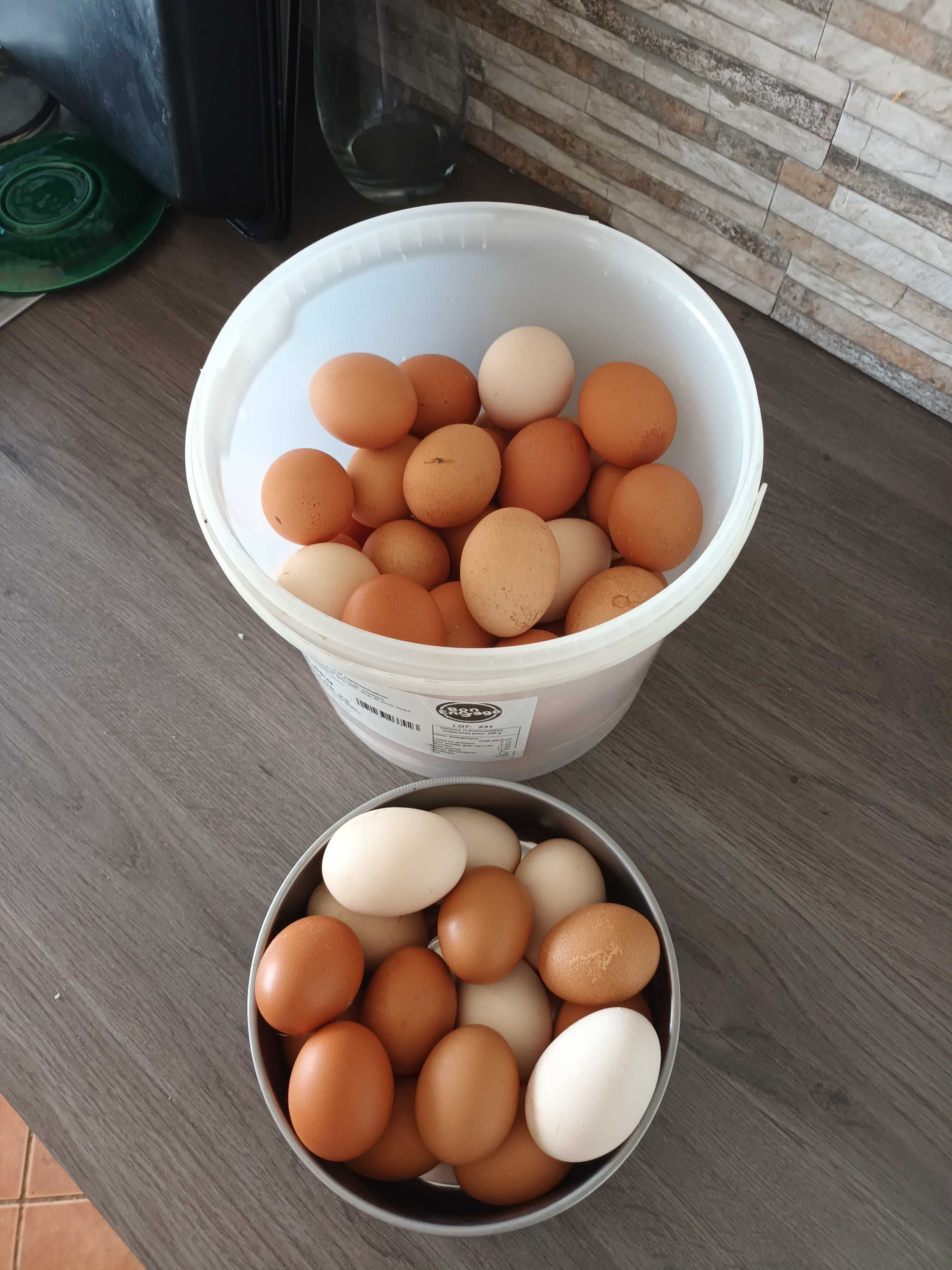 Ovos galinha caseiros