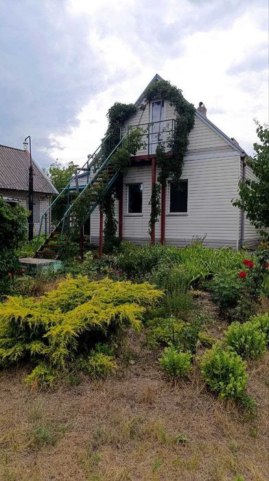 Продам дом в Подгородном с отличным участком