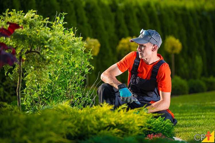 Manutenção de Jardins em Setúbal – Serviço Profissional e Confiável