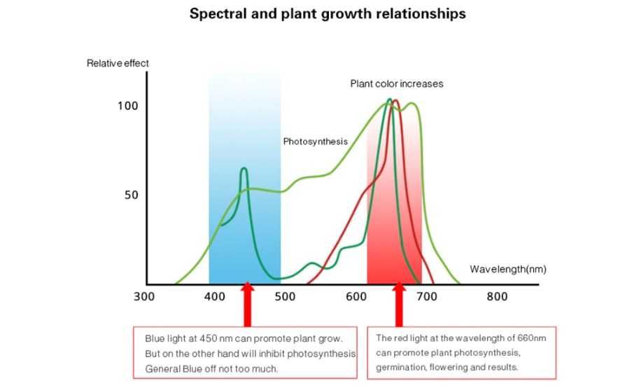 Фитолента для растений 10м