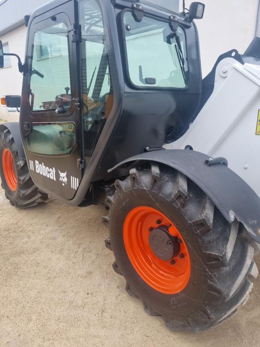 Bobcat impecável
