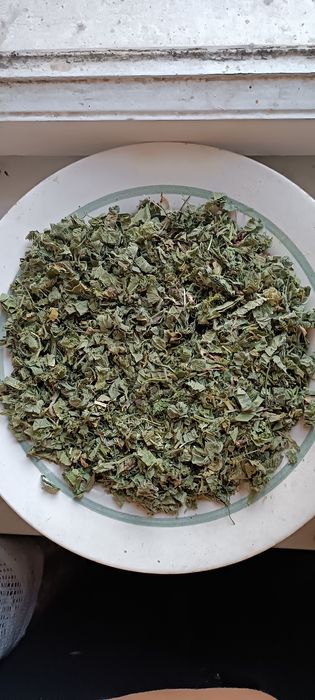 Продам листя горіха волоського,приворотень звич(манжетка).