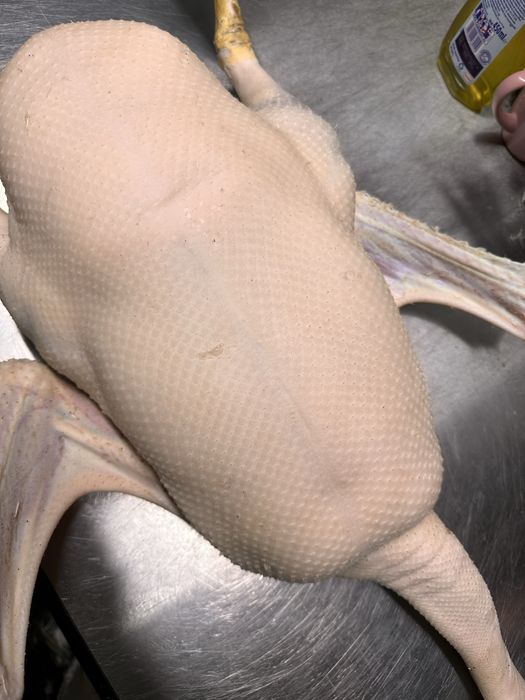 Gęś kołudzka tuszka