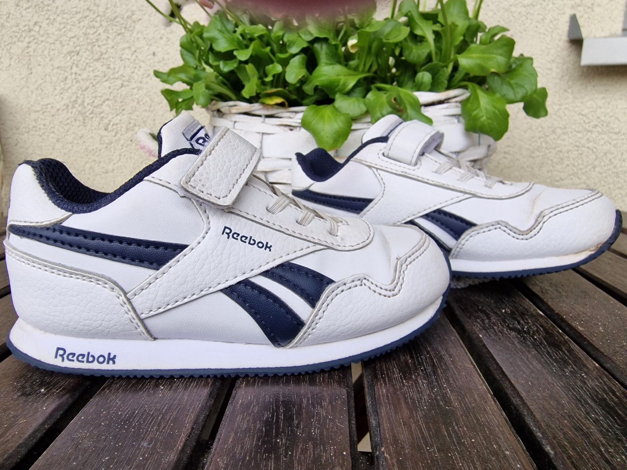Oryginalne Reebok classic 24 klasyka jak Adidas Superstar